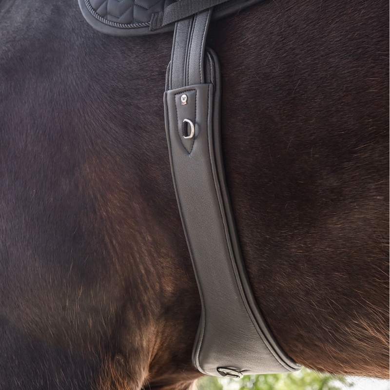 Sattelgurt Contour Half Moon Leather Schwarz