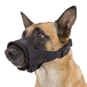 Nasenriemen mit Polsterung Schwarz Nasenriemen mit Polsterung Schwarz