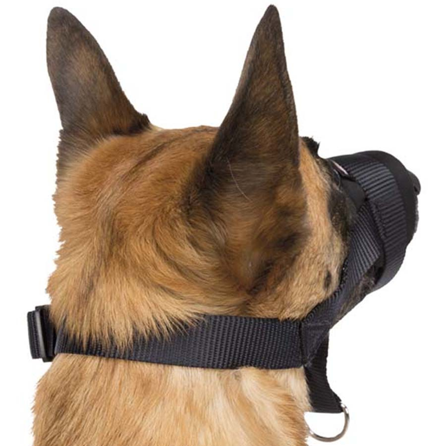 Nasenriemen mit Polsterung Schwarz