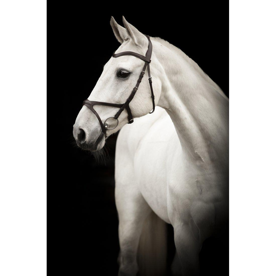 Trense Trense Arthur Schwarz