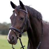 Anatomisches Trense Luxury Stitched Schwarz Anatomisches Trense Luxury Stitched Schwarz