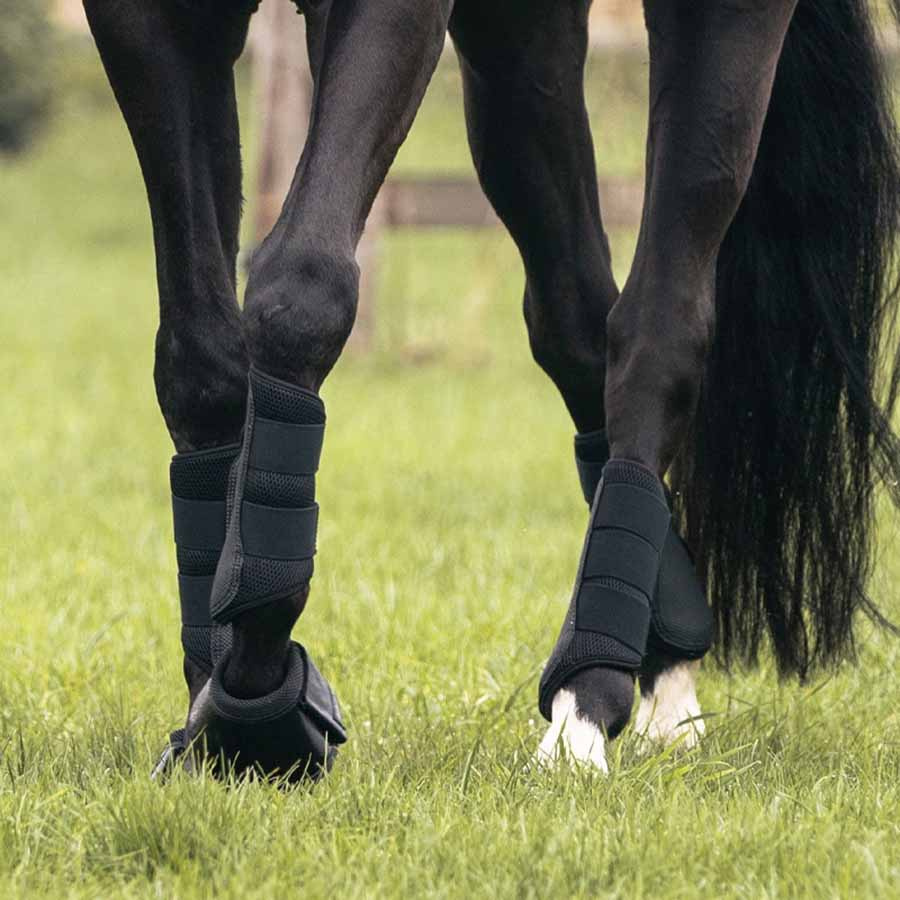 Gamaschen Opal Vorne Schwarz