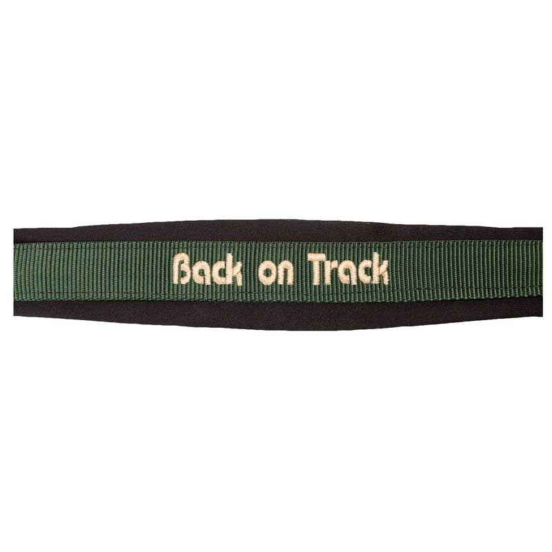 Halfter Werano Grün