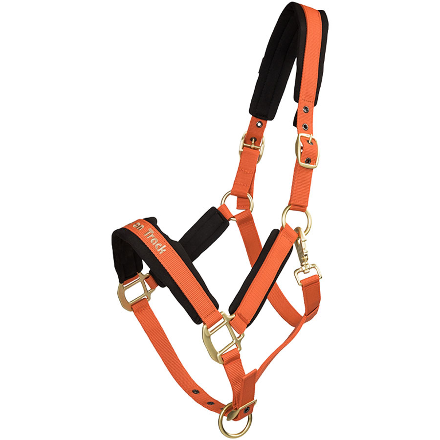 Halfter Werano Orange