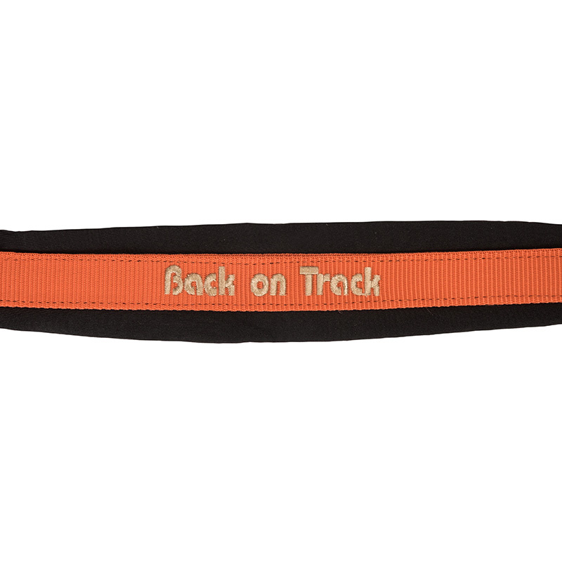 Halfter Werano Orange