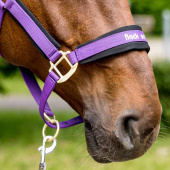 Halfter Werano Lila Halfter Werano Lila