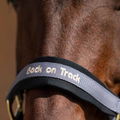 Halfter Werano Grau Halfter Werano Grau