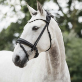 Dressurtrense Caselle Supreme Schwarz Dressurtrense Caselle Supreme Schwarz