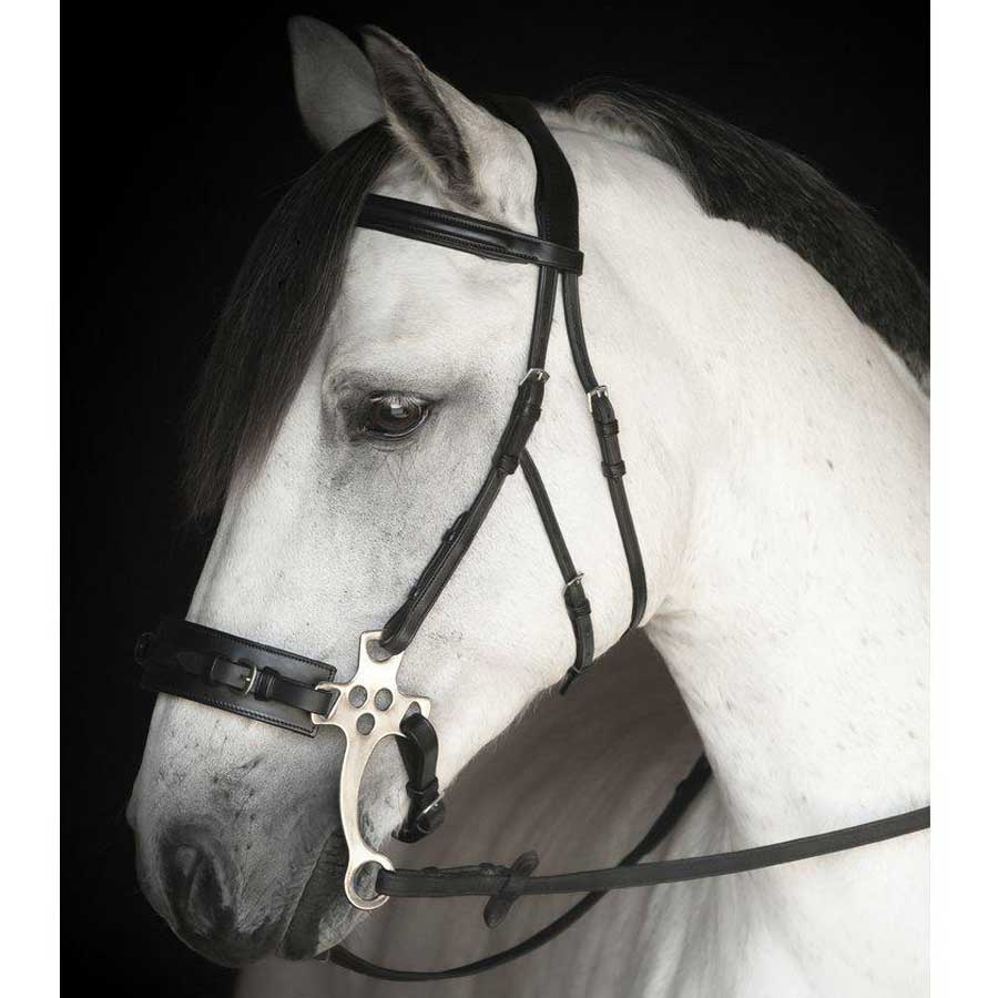 Chester Supreme Hackamore Bridle Brown