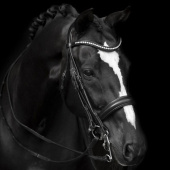 Kandarenzaum Delicato Supreme Schwarz Kandarenzaum Delicato Supreme Schwarz