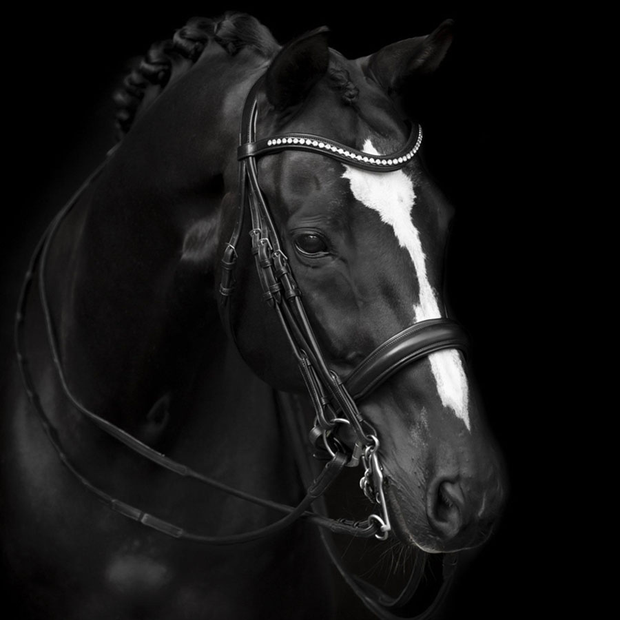 Kandarenzaum Delicato Supreme Schwarz