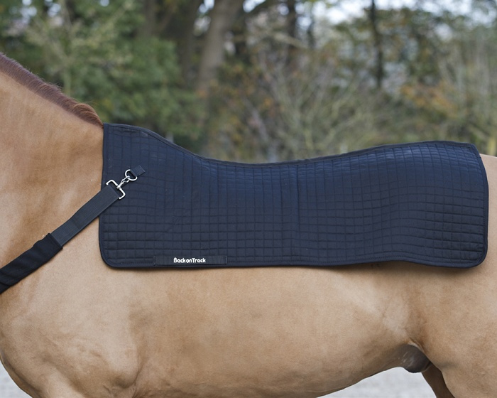 Royal Rückenwärmer