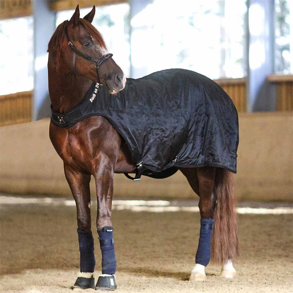 Führanlagendecke Schwarz