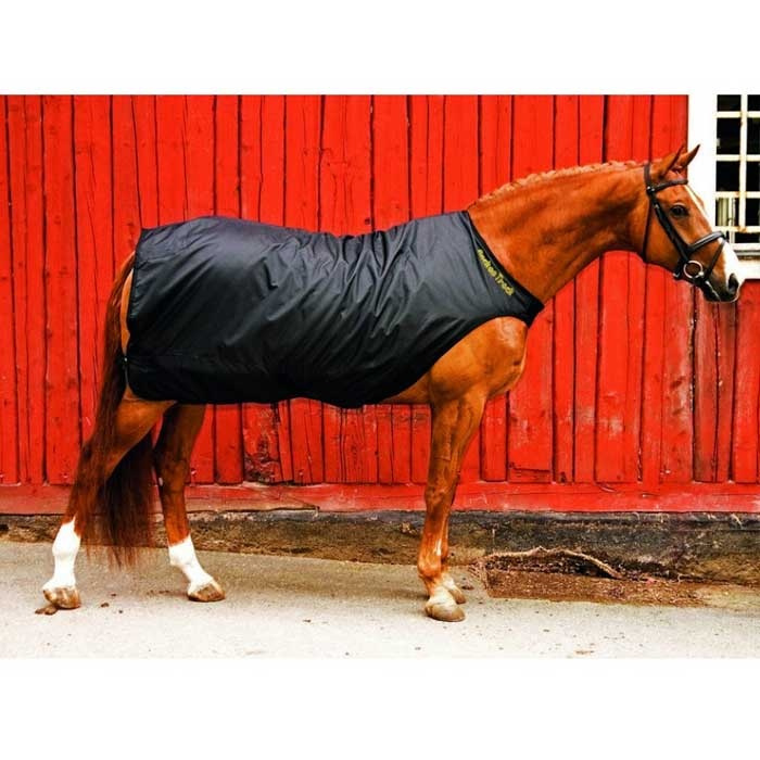 Führanlagendecke Schwarz