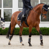 Dressurschabracke Samt Emblem Heritage Marineblau Dressurschabracke Samt Emblem Heritage Marineblau