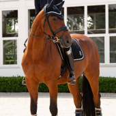 Dressurschabracke Samt Emblem Heritage Marineblau Dressurschabracke Samt Emblem Heritage Marineblau