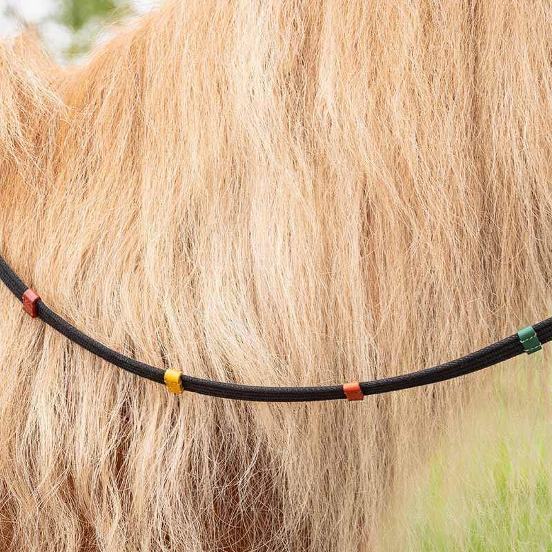 Zügel Coloured Stops Schwarz