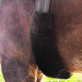 Sattelgurtschoner Lambskin Schwarz Sattelgurtschoner Lambskin Schwarz