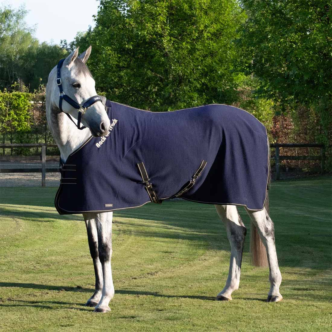 Abschwitzdecke Quick Cooler Blau