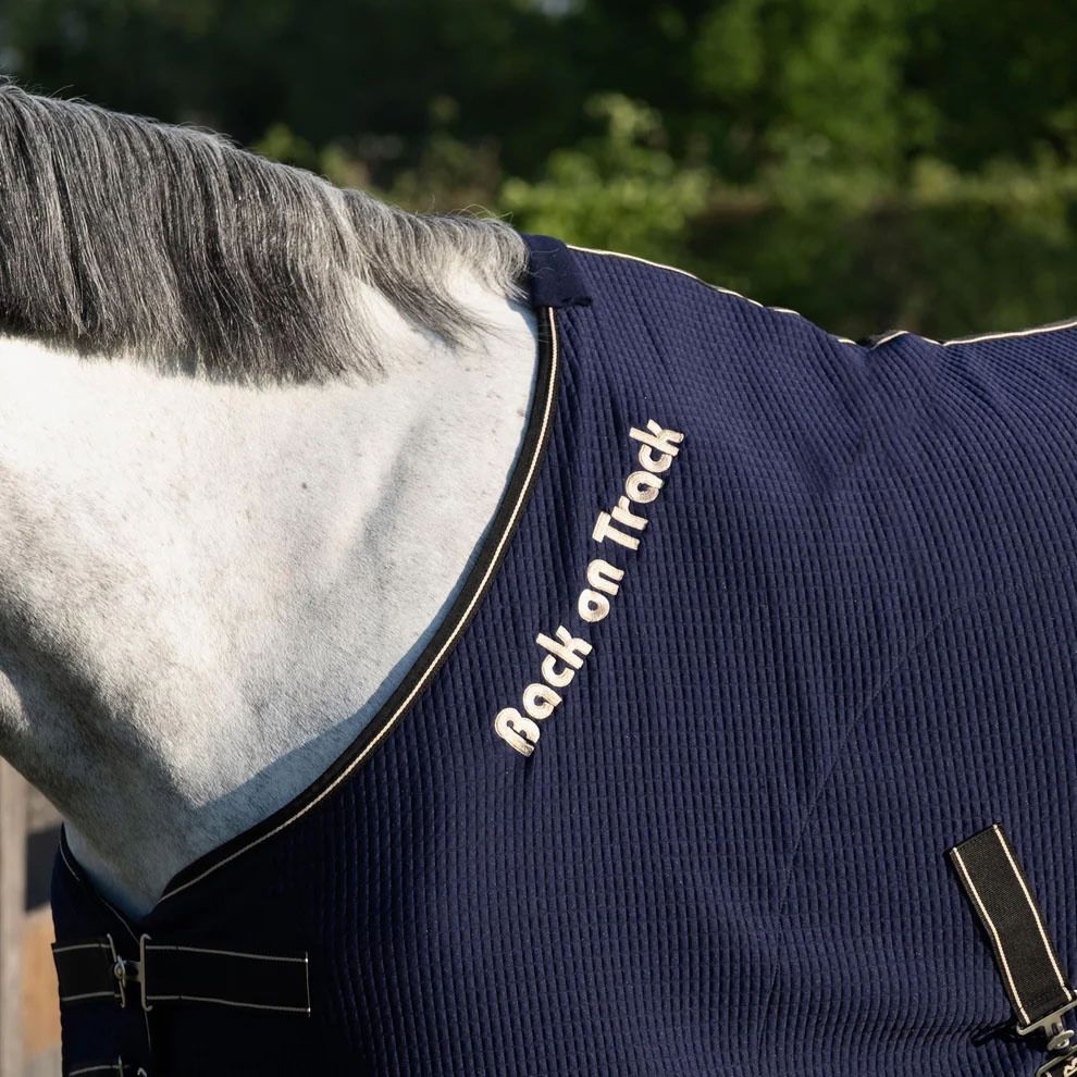 Abschwitzdecke Quick Cooler Blau