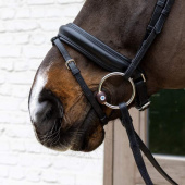 Wassertrense Flex Hard 20mm Wassertrense Flex Hard 20mm