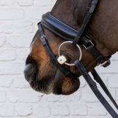 Wassertrense Flex Soft 20mm Wassertrense Flex Soft 20mm