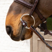 Olivenkopf Flex Hard 20mm Olivenkopf Flex Hard 20mm