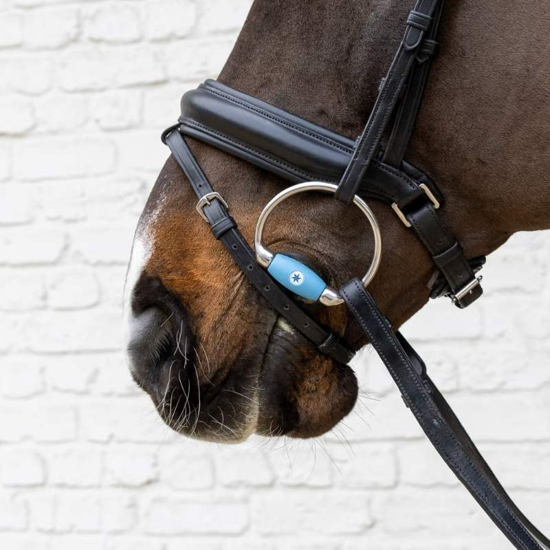 Olivenkopfgebiss Flex Medium 20mm