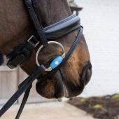 Olivenkopfgebiss Flex Medium 20mm Olivenkopfgebiss Flex Medium 20mm