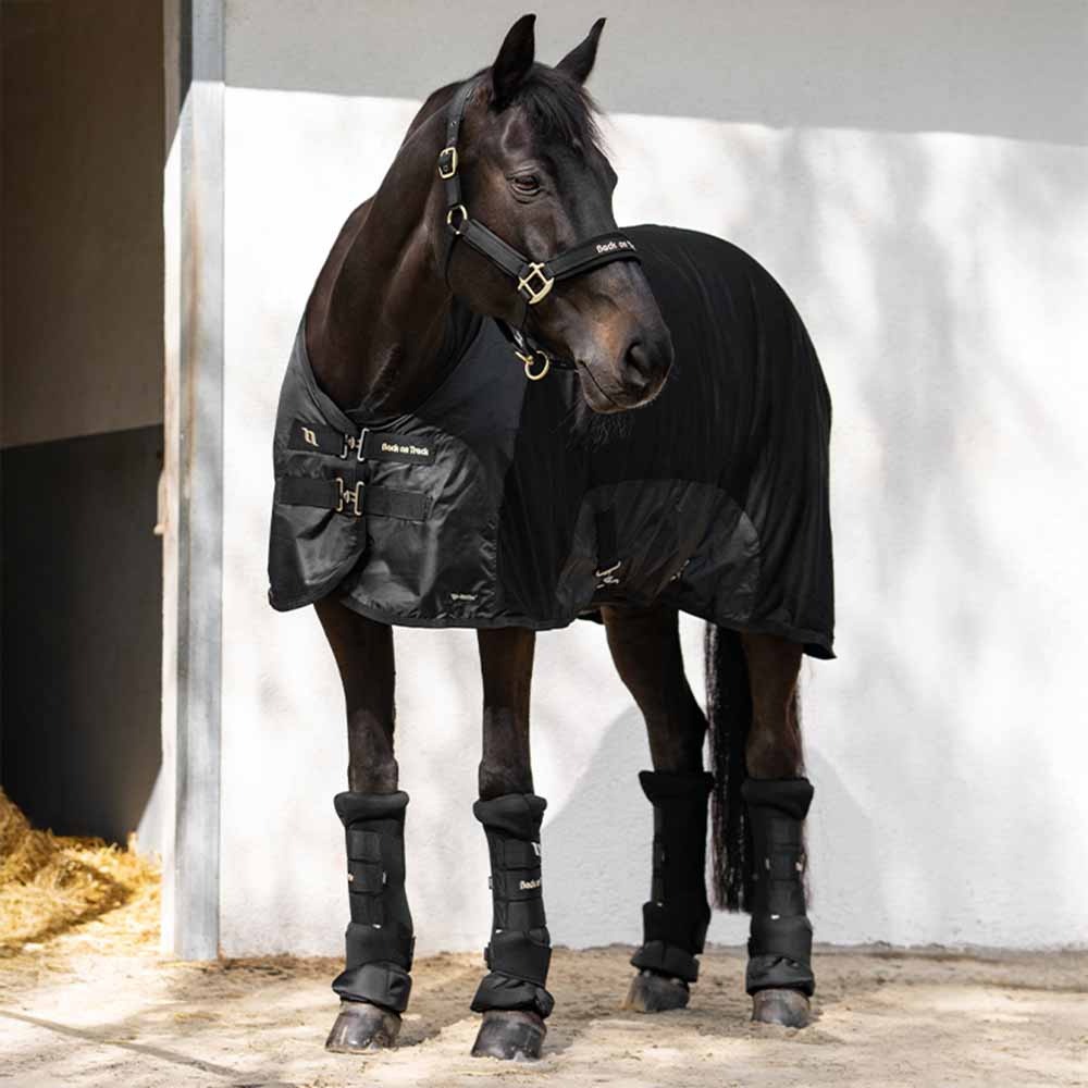 Netzdecke Royal Deluxe Schwarz