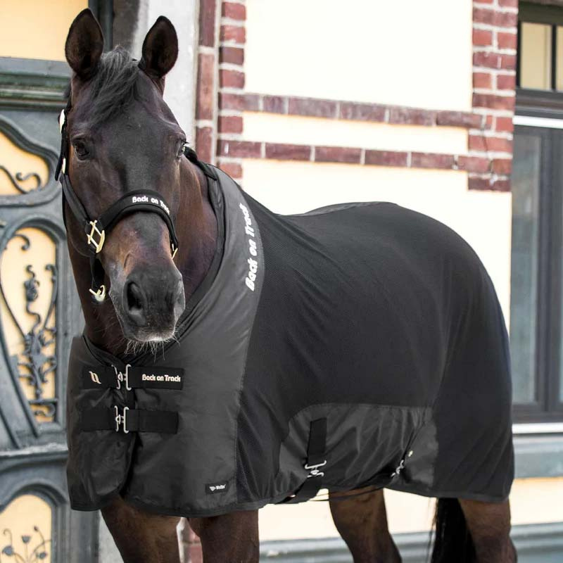 Netzdecke Royal Deluxe Schwarz