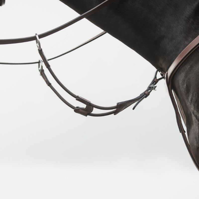 Kurze Martingal Elastic Eccelente Braun