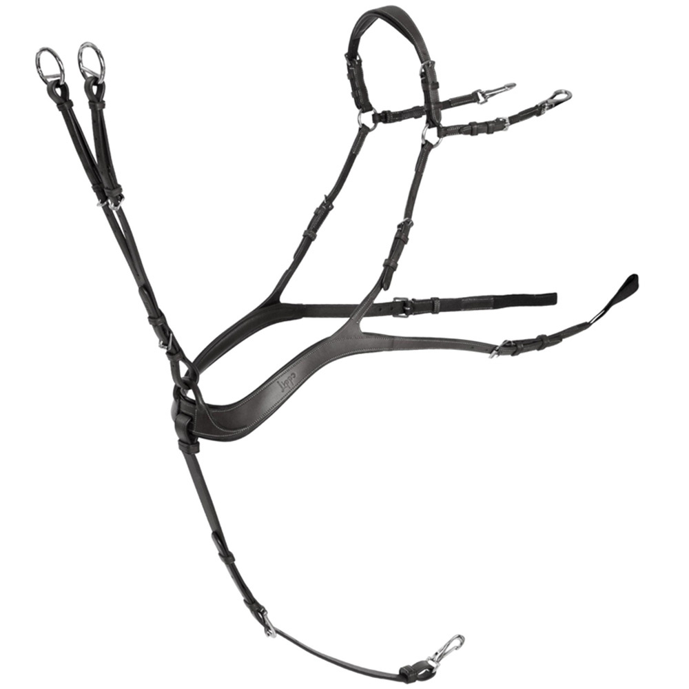 Anatomische Vorderzeug mit Martingal Schwarz/Silber