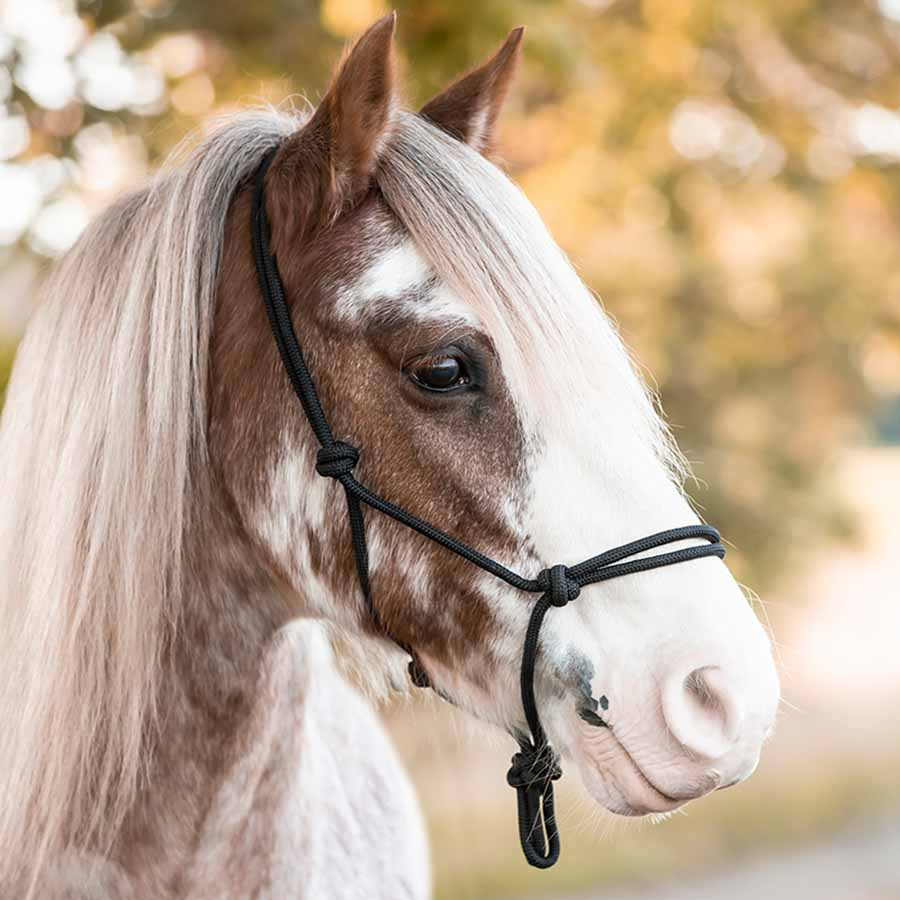 Seilhalfter Polypropylene Schwarz