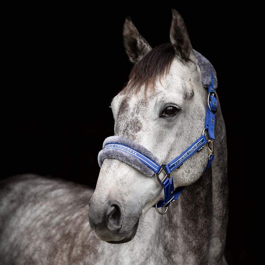 Halfter mit Kunstfellfutter  Königsblau/Grau