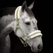 Halfter mit Kunstfellfutter Olivgrün/Natur Halfter mit Kunstfellfutter Olivgrün/Natur