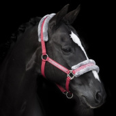 Halfter mit Fleece Rot/Grau Halfter mit Fleece Rot/Grau