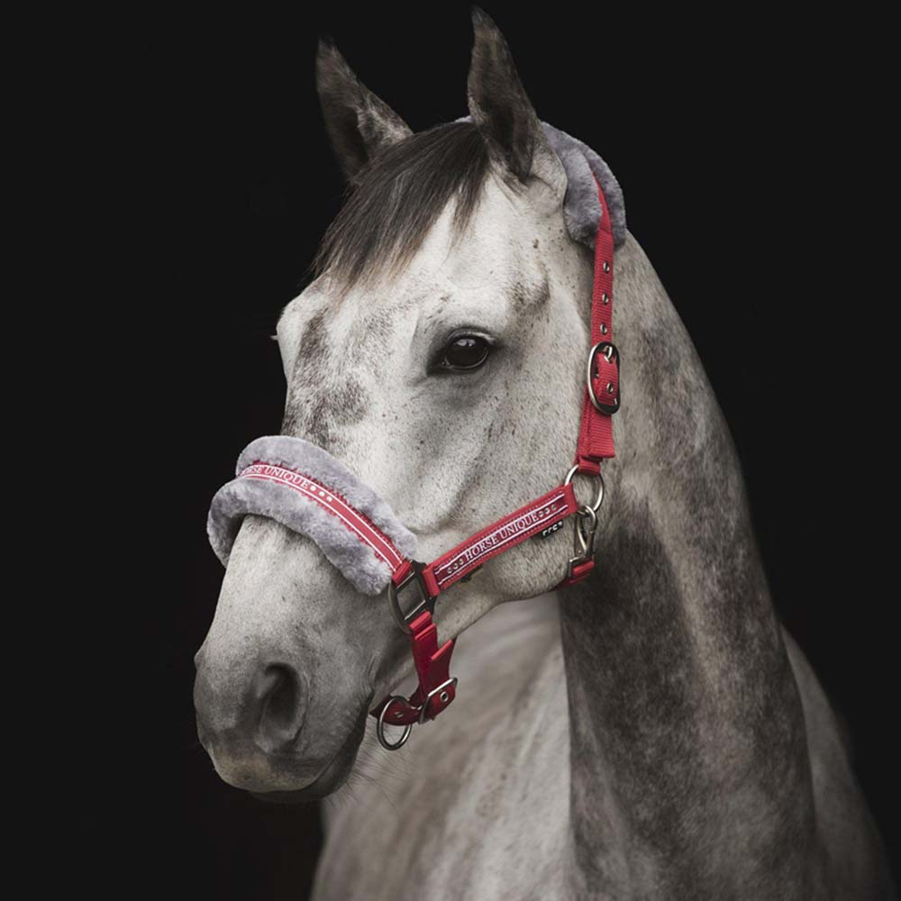 Halfter mit Fleece Rot/Grau