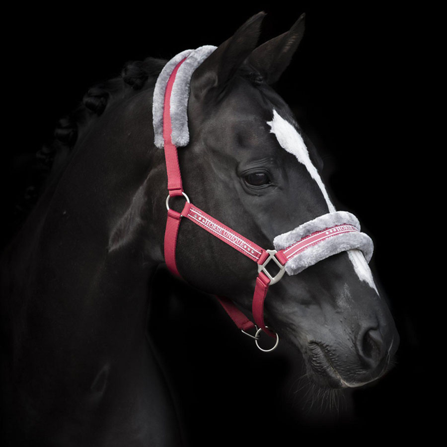 Halfter mit Fleece Rot/Grau