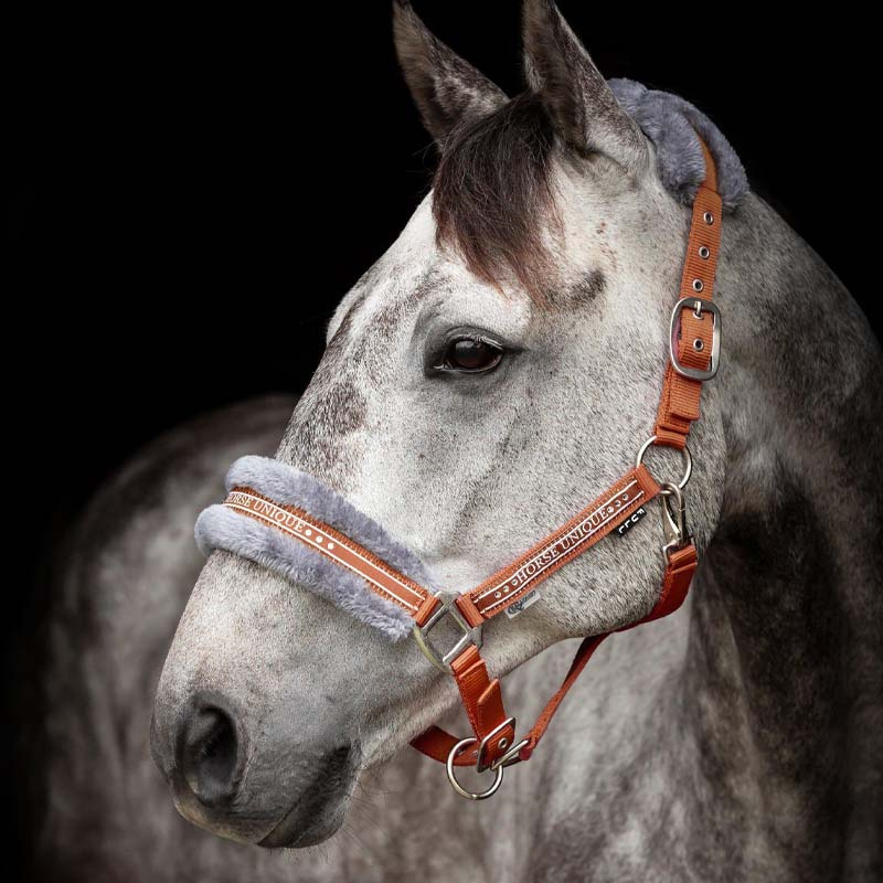 Halfter mit Fleece Orange/Grau