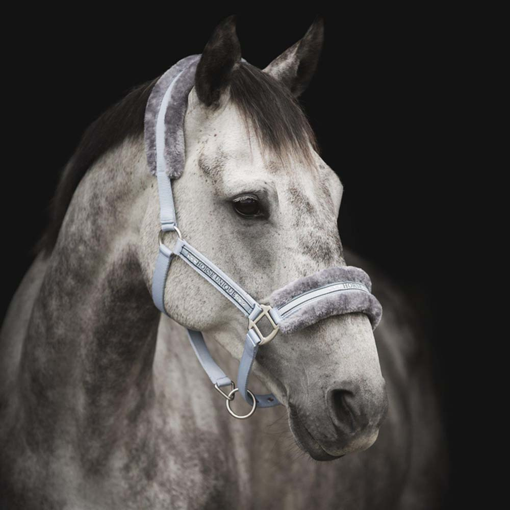 Halfter mit Fleece Hellblau/Grau