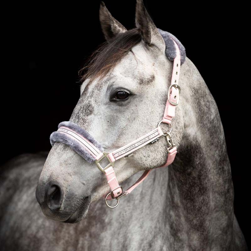 Halfter mit Fleece Hellrosa/Grau