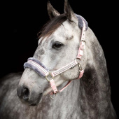 Halfter mit Fleece Hellrosa/Grau Halfter mit Fleece Hellrosa/Grau