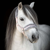 Halfter mit Fleece Hellrosa/Grau Halfter mit Fleece Hellrosa/Grau