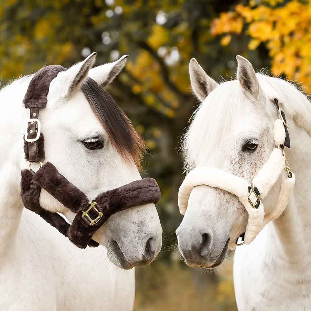 Halfter Cozy mit Plüsch Braun/Braun