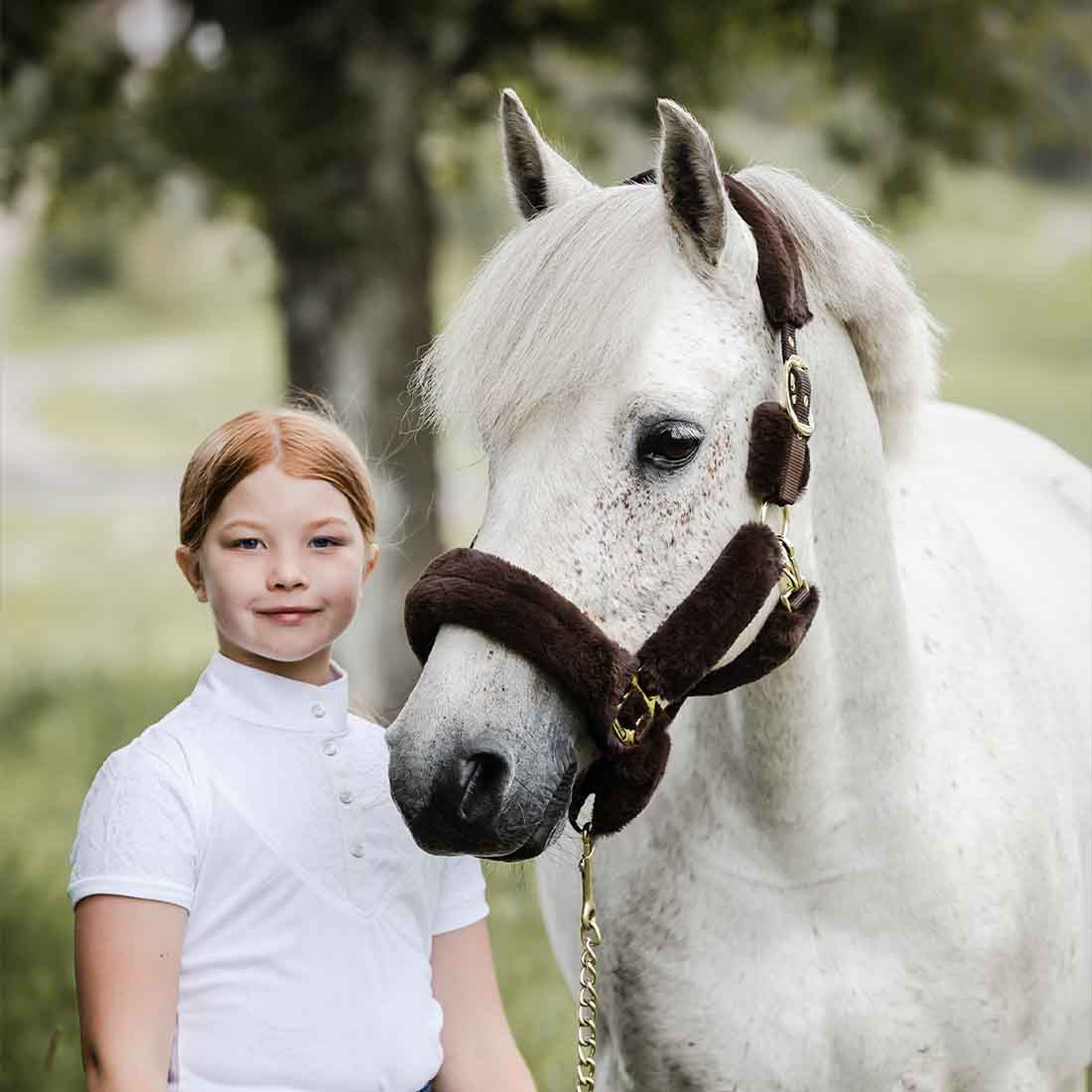 Halfter Cozy mit Plüsch Braun/Braun