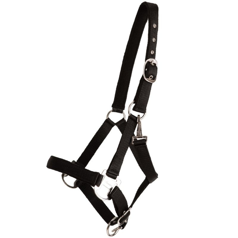Halfter Double Buckle Schwarz