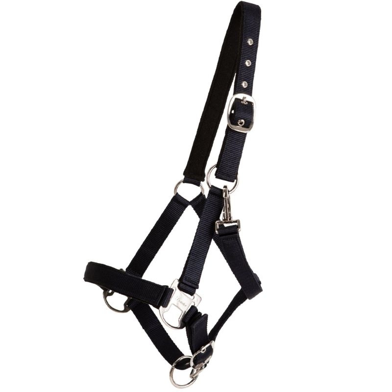 Halfter Double Buckle Marineblau