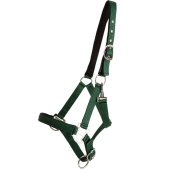 Halfter Double Buckle Grün Halfter Double Buckle Grün