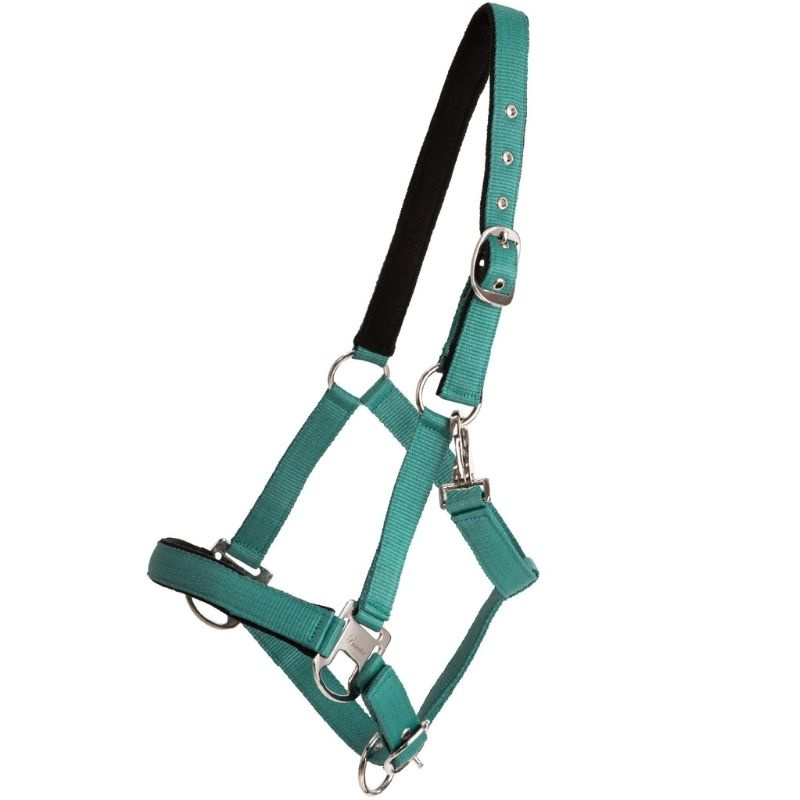 Halfter Double Buckle Türkis